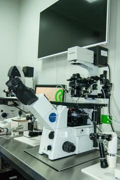 Slider image (2) Institute of Reproductive Medicine DAKHNO - IVF Clinic Ukraine